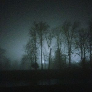 Meet your Posher, Greg